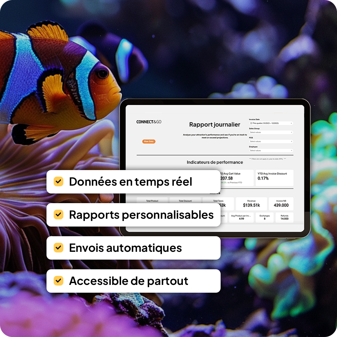connectngo-rapport-en-temps-reel connectngo-rapport-en-temps-reel